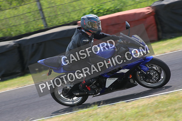 BIKES 1431