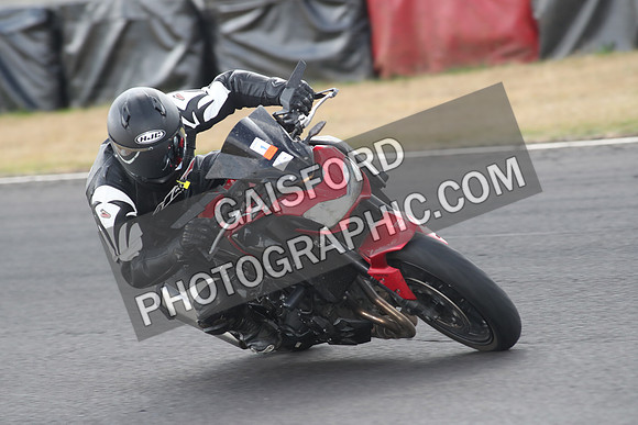 BIKES 1339