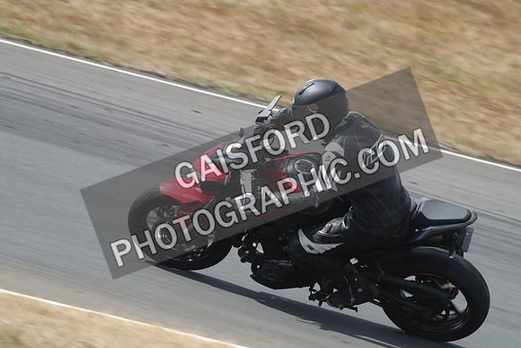 BIKES 1686