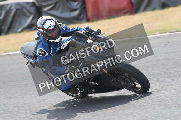 BIKES 1341