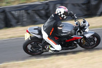 Triumph grey 2