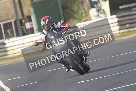 BIKES 0499