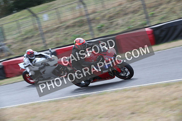 BIKES 0231