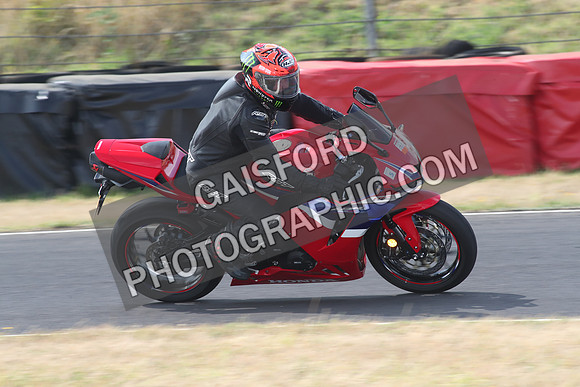 BIKES 1196