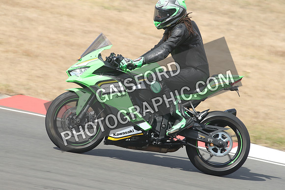 BIKES 1515