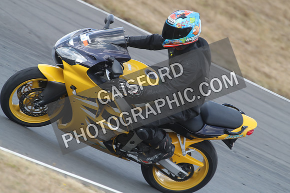 BIKES 1564