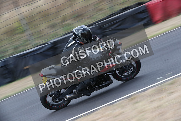 BIKES 0240