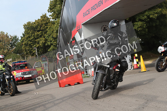 BIKES 0113