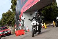 Triumph White