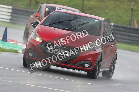 Spring Action day 0215