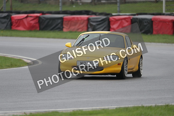 Spring Action day P 4532