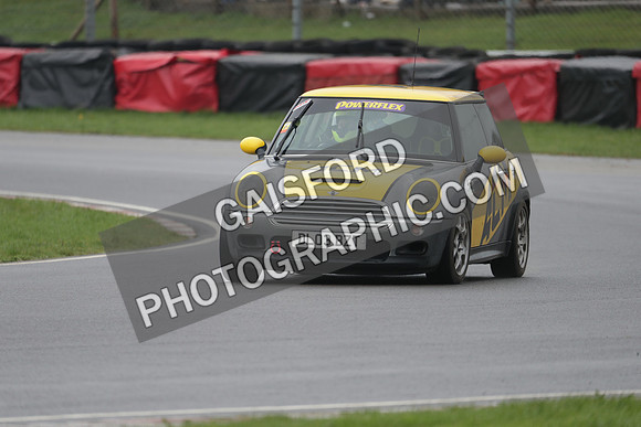 Spring Action day P 4554