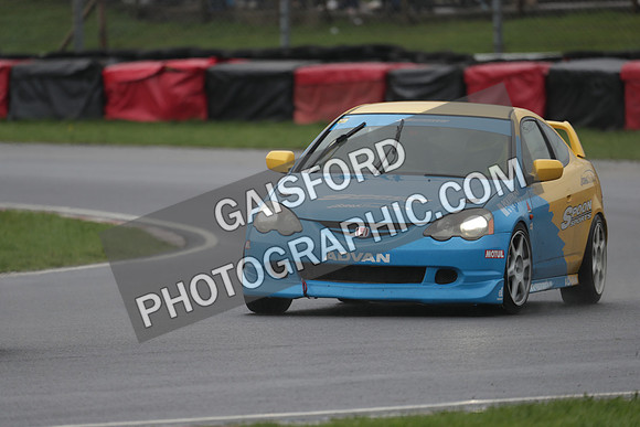 Spring Action day P 4558