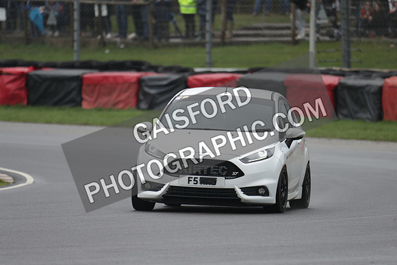 Spring Action day P 4565