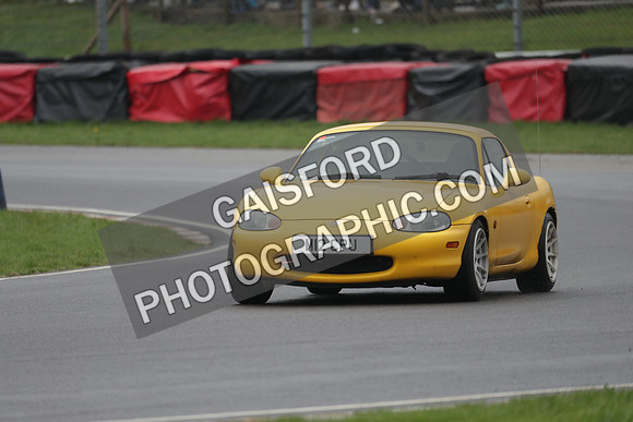 Spring Action day P 4581