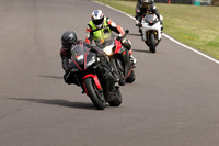 BIKES 1253