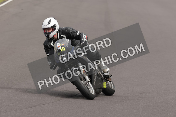 BIKES 1335