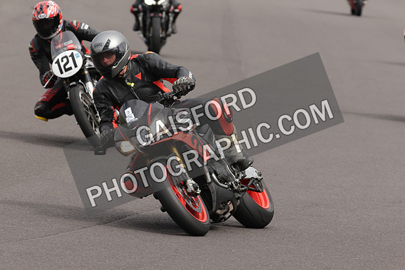 BIKES 1308
