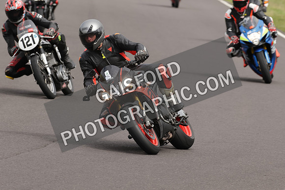 BIKES 1307
