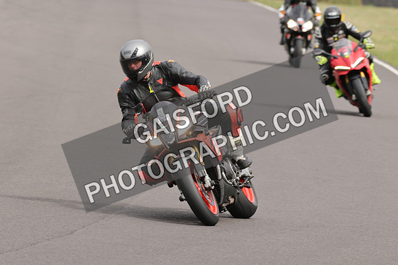 BIKES 1342