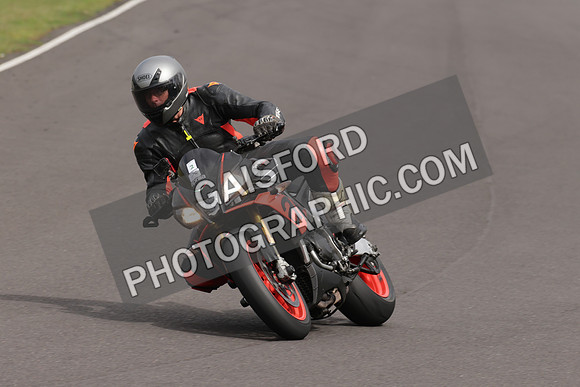 BIKES 1365