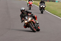 BIKES 1381