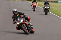 BIKES 1382