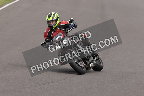 BIKES 1379