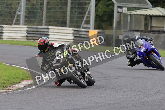 BIKES 0699