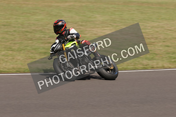 BIKES 1447