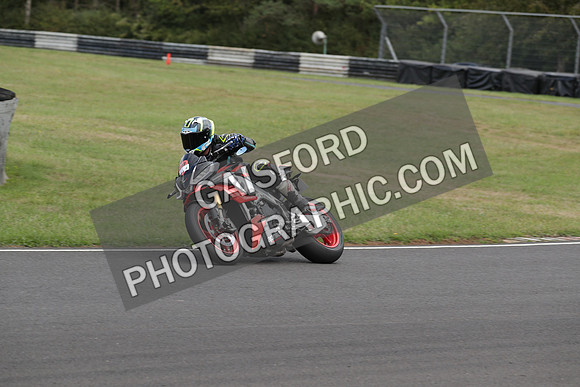 BIKES 1559