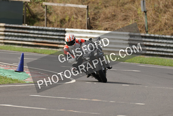 BIKES 0481