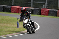 BIKES 1600