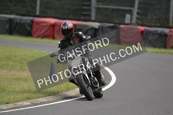 BIKES 1600