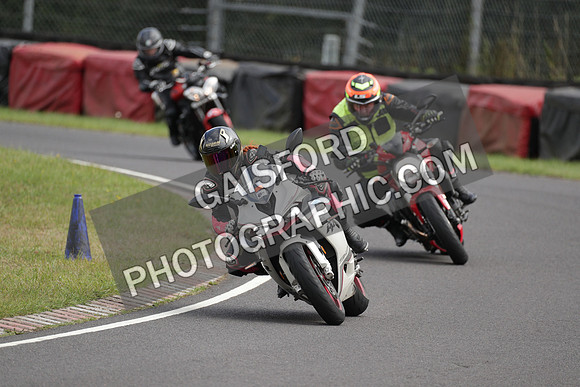 BIKES 1596