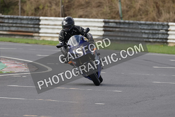 BIKES 0355