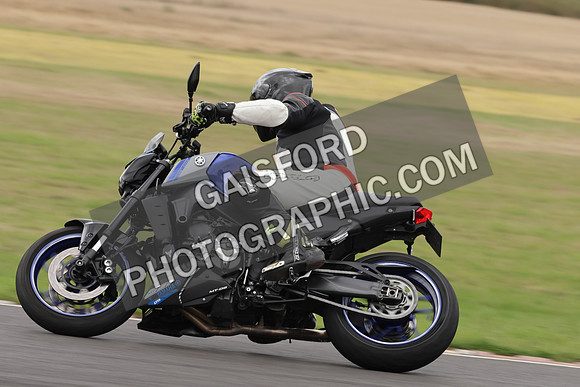 BIKES 1005