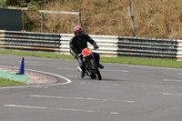 BIKES 0569