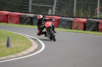 BIKES 1687