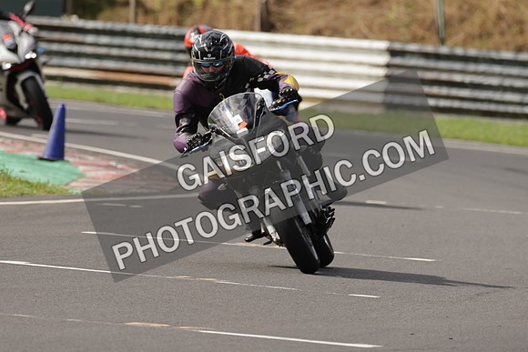 BIKES 0463