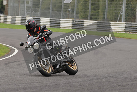 BIKES 1047