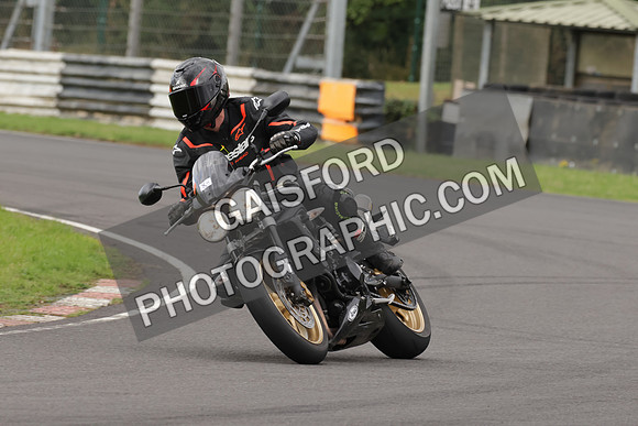 BIKES 1069