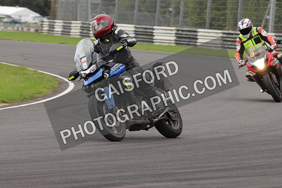 BIKES 1031