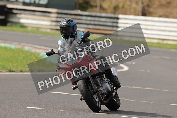 BIKES 0480