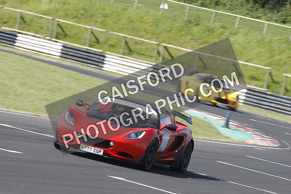Lotus 0233