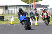 Fowlers 0239