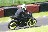 Fowlers 1252