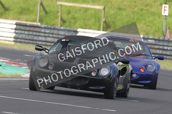 Lotus 0008