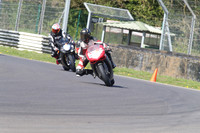BIKES 1447