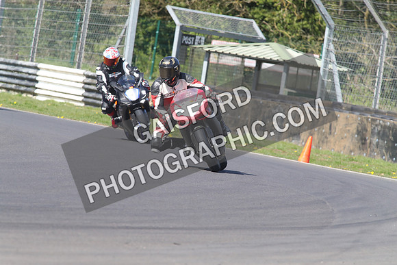 BIKES 1447